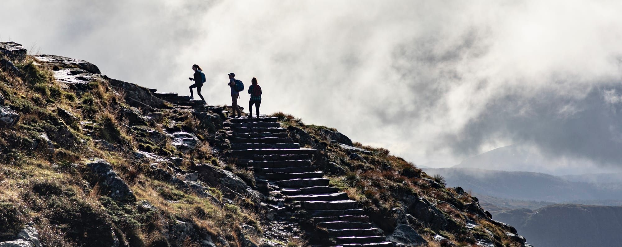 Capacita Organizzative